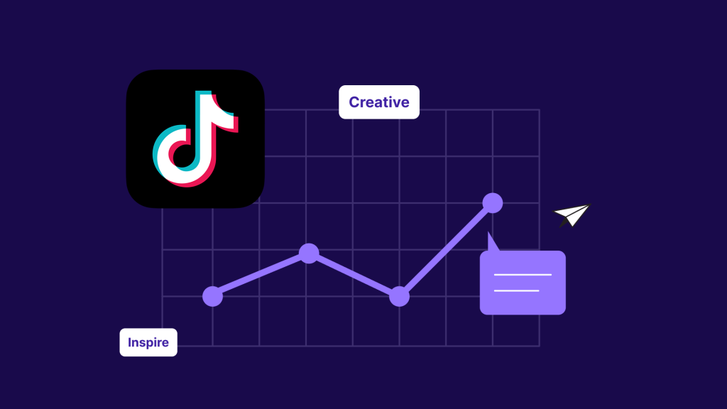 TikTok Ads Management