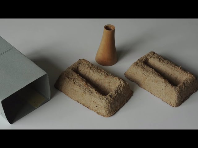paper pulp packaging